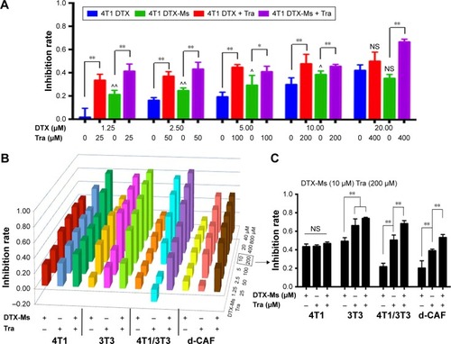 Figure 2 Cell proliferation inhibition after different treatments.Notes: (A) 4T1 cells were treated with free DTX, DTX-Ms with or without tranilast. * and ** denote significance between DTX (DTX-Ms) and DTX + Tra (DTX-Ms + Tra). ^ and ^^ indicate significance between DTX and DTX-Ms. NS of DTX+Tra (DTX 20 µM) indicates no significance between DTX and DTX+Tra (DTX 20 µM). NS of DTX-Ms (DTX 20 µM) means no significance between DTX and DTX-M (DTX 20 µM). (B) 4T1, 3T3, 4T1/3T3 mixed cells, and d-CAF were treated with DTX-Ms in the presence (+) or absence (-) of tranilast at different concentrations (DTX-Ms 1.25–40 µM; tranilast 25–800 µM) for 48 hours. (C) Part from B to illustrate 4T1, 3T3, 4T1/3T3 mixed cells, and d-CAFs treated with DTX-Ms (10 µM) in the presence (+) or absence (-) of tranilast (200 µM) for 48 hours. n=4. **P<0.01 between two different treatments indicated respectively in 3T3,4T1/3T3 or d-CAF. NS, no significance among three groups in 4T1.Abbreviations: DTX, docetaxel; DTX-Ms, docetaxel micelles; Tra, tranilast; d-CAF, detached cancer-associated fibroblasts.