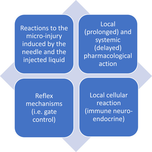 Figure 3 Possible mechanisms of action of the local intradermal therapy.