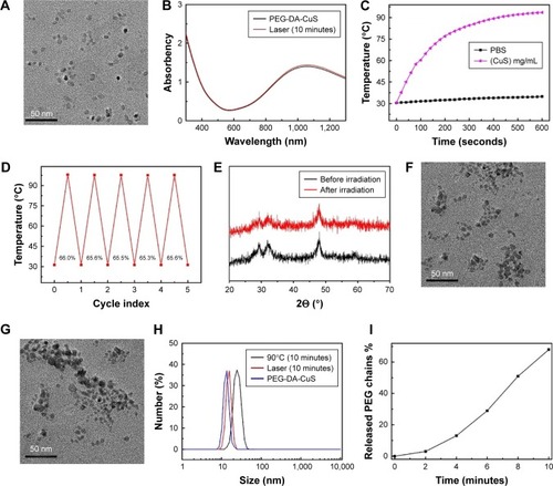 Figure 1 Characterization of PEG-DA-CuS NPs.Notes: (A) TEM image of PEG-DA-CuS NPs. (B) UV–Vis spectrum of PEG-DA-CuS NPs before and after NIR laser irradiation (1 W/cm2, 1,064 nm laser, 10 minutes). (C) Temperature–time curve of PBS and PEG-DA-CuS NPs (1 mg/mL) dissolved in distilled water. (D) Temperature of PEG-DA-CuS NPs solution (1.43 g, 1.4 mL) after five cycles of NIR laser irradiation (1 W/cm2, 1,064 nm laser, 10 minutes)/cooling down (1 hour) process. (E) XRD of PEG-DA-CuS NPs before and after NIR laser irradiation (1 W/cm2, 1,064 nm laser, 10 minutes). (F) TEM image of PEG-DA-CuS NPs after NIR laser irradiation (1 W/cm2, 1,064 nm laser, 10 minutes). (G) TEM image of PEG-DA-CuS NPs after oil bath heating (90°C, 10 minutes). (H) Particle size distribution of PEG-DA-CuS NPs before NIR laser irradiation, after NIR laser irradiation (1 W/cm2, 1,064 nm laser, 10 minutes), and after oil bath heating (90°C, 10 minutes). (I) Release of PEG chains from the PEG-DA-CuS after irradiation with 1,064 nm laser (1 W/cm2) for 10 minutes.Abbreviations: NIR, near infrared; NP, nanoparticle; PEG, polyethylene glycol; TEM, transmission electron microscopy; UV, ultraviolet; XRD, X-ray powder diffraction.