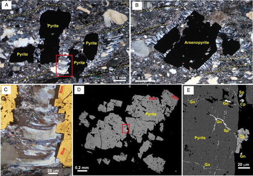 Figure 6. Sulphides in host rock near the Birthday Reef in drillhole WA22, at indicated depths along core. A, Polished thin-section view (crossed polars) of irregular pyrite porphyroblasts that have cleavage wrapping around them, but also locally truncate that cleavage. Pressure shadows are filled with fibrous quartz. Depth1634 m. B, Euhedral porphyroblastic arsenopyrite, with similar textures to pyrite in A. Depth 1641 m. C, Close view of the box in A, viewed with incident light as well, to show details of euhedral rims on the pyrite and the quartz fibres that grew with them. D, SEM backscatter image of an irregular pyrite porphyroblast with some euhedral rims. White specks are other sulphides, predominantly chalcopyrite (Cp), sphalerite (Sp) and galena (Gn), as in box enlarged in E. Depth 1641 m.
