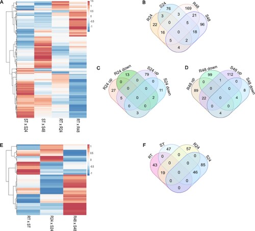 Figure 1 . Differentially expressed genes (DEGs) in Theobroma grandiflorum challenged with Moniliophthora perniciosa. A) Heatmap of 440 DEGs from intra-genotype analysis. The color scale presents unit variance, with down- and upregulated genes under different conditions indicated in blue and red, respectively. B) Venn diagram of DEGs (intra-genotype analysis). C and D) DEGs at 24 and 48 HAI, respectively, discriminating up- and down-regulated genes. E) Heatmap of 301 DEGs from inter-genotypes analysis. Genes with higher expression levels in the susceptible genotype are indicated in blue, while those with higher expression levels in the resistant genotype are indicated in red. F) Venn diagram of DEGs (inter-genotypes analysis). R = resistant, S = susceptible, RT and ST = non-inoculated controls, R24 and S24 = 24 HAI, R48 and S48 = 48 HAI.