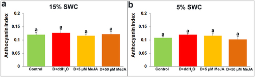 Figure 10. The effect of foliar applied MeJA on I. walleriana anthocyanin index at 15 (A) and 5% (B) SWC. SWC – soil water content. Results are presented as mean ± SE, with significant differences between treatments based on LSD test (p ≤ 0.05).