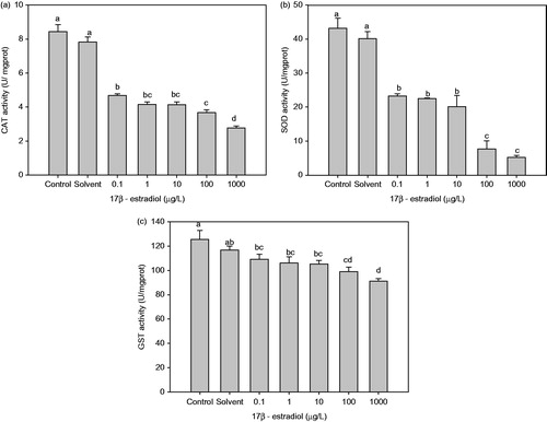 Figure 1. Effect of chronic 17β-estradiol exposure on Perinereis aibuhitensis antioxidant enzyme activities: (a) catalase (CAT) activity, (b) superoxide dismutase (SOD) activity and (c) glutathione-S-transferase (GST) activity (different letters indicates significant difference between groups, p < 0.05).