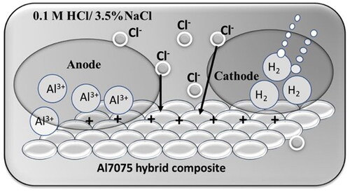 Figure 6. Schematic representation of the corrosion of the Al7075 hybrid composite in the presence of an aqueous medium containing Cl− ions.