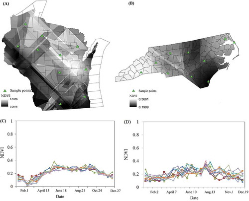 Figure 6. Interpolated impervious surface spectra using ordinary kriging for (A) WI and (B) NC, and sampled NDVI temporal profile for (C) WI and (D) NC (take early August as an example; colored lines are impervious surfaces temporal profiles from 10 sampling locations).