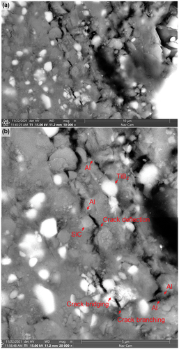 Figure 12. Crack propagation path of 20 vol% Al/TiB2-SiC composite in (a) low-magnification and (b) high-magnification.