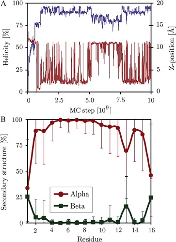 Figure 8.  Secondary structure and membrane position of the WALP 353 K simulations. Panel A: Peptide helicity (blue line, left axis) and position along the membrane normal (z-position, red line, right axis) versus simulation time (MC step). Panel B: Simulation averages of secondary structure for each residue. (This Figure is reproduced in colour in Molecular Membrane Biology online).