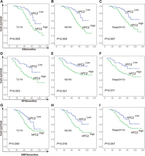 Figure 4 Analysis of hPC2 expression in related to OS, RFS, and DMFS of NPC patients. Survival analysis of hPC2 expression by the Kaplan–Meier method (Log rank test). Overall survival (OS) analysis for the subgroup of NPC patients with different hPC2 protein levels in stage T3-T4 (A), N2-N3 (B), TNM III–IV (C). Recurrence-free survival (RFS) analysis in stage T3–T4 (D), N2–N3 (E), TNM III–IV (F). Distant metastasis-free survival (DMFS) analysis in stage T3–T4 (G), N2–N3 (H), TNM III–IV (I).