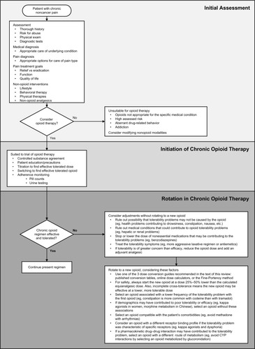 Figure 1 Algorithm for initial patient assessment and initiation and rotation of opioid therapy.
