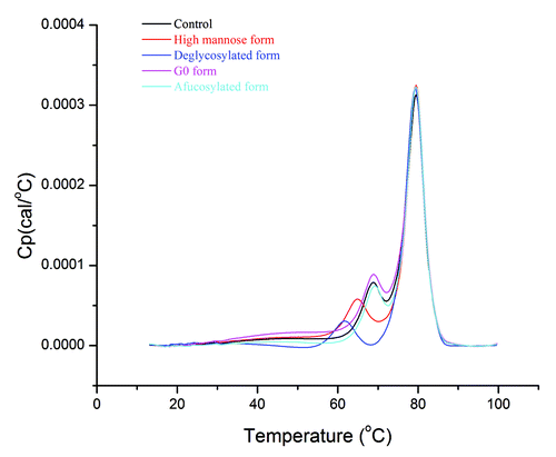 Figure 4. Thermal unfolding of glycoforms from DSC measurements. Thermogram line colors: black, control; red, high mannose form; blue, deglycosylated form; magenta, G0 form; cyan, afucosylated form.