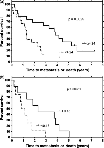 Figure 5. Metastasis-free survival in dogs with tumours dichotomised by contrast medium wash-in rate (a) and contrast medium wash-out rate (b), as determined from DCE-MRI Citation[45]. Metastasis-free survival was longer in dogs with higher wash-in and wash-out values, likely reflecting tumours with better perfusion. The Kaplan Meier curves shown compare the survival for animals, grouped above and below the median for the whole population. Wash-in value is a rate constant derived from the initial slope of the dynamic contrast enhanced image set and is influenced most strongly by the perfusion rate in the tumour Citation[10]. The wash-out value is derived from the terminal slope of the image set and reflects the rate of contrast clearance from the tumour. This is also influenced by perfusion, but is also reflective of the extracellular volume and permeability of the microvasculature. Figure reproduced with permission from the author and publisher.