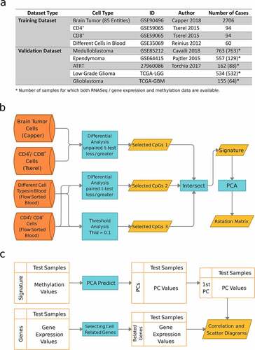 Figure 1. Overview of the data and the DIMEimmune method. a. Data sources and number of samples; b. Overview of the method: the final lymphocyte-specific signature is the intersection of three sets of CpGs. The first two sets are obtained within the framework of differential methylation analysis and the third one by threshold analysis. The first group is selected based on the difference between brain tumor samples, and CD4+ and CD8+ T cells by applying an unpaired t-test. The second group is selected by applying a paired t-test on different immune cell types in the blood. Additionally, a threshold analysis is conducted, which gives the third group of CpGs. The final estimate for lymphocyte infiltration is obtained from dimensionality reduction using PCA; c. Validation: Methylation-based estimates are obtained by applying the learned rotation matrix of PCA on the validation data. Gene expression-based estimates are computed from specific signatures as previously described.Citation8 Both methods are compared on the same samples using RNAseq/gene expression and methylation-based values in the form of correlation and scatter diagrams