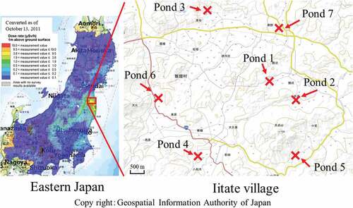 Figure 1. Sampling sites of ponds in Iitate village