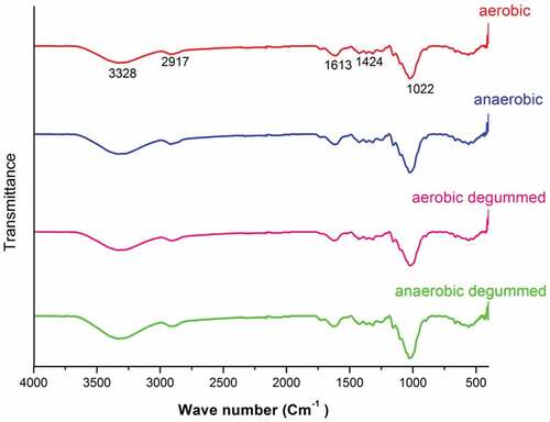 Figure 4. FTIR spectra of aerobic retted, anaerobic retted, aerobic degummed, and anaerobic degummed water hyacinth fibers.