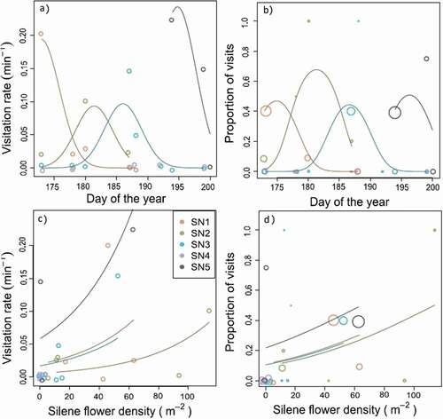 Figure 5. Pollinator visitation to Silene changes over time and with local Silene flowering density at five sites. Points show the number of visits to Silene plants per minute (left) or the proportion Silene plants out of all plants visited (right) as a function of the day of the year (top) or the local density of open Silene flowers. Lines show the fitted model for each site. Note that there were no observed pollinator visits to Silene at SN4, despite similar visitation rates to other plant species (see Table S4). Point size in panels B and D are proportional to the total number of visits (range: 2–23)