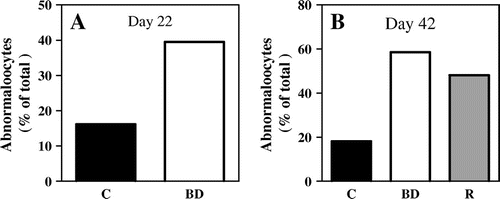 Fig. 2. Higher frequency of abnormal oocytes induced by biotin deficiency not restored by re-feeding of biotin-containing diet.Notes: Abnormal oocyte number is the summation of chromosome alignment and spindle defect in oocytes. (A) Day 22, (B) Day 42. (C) control; BD; biotin deficient group; R, recovery group. n = 37–54 oocytes analyzed per group.