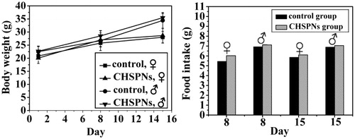 Figure 4. Body weight and food intake of CHSPNs i.v. injected in mice at 200 mg/kg dose.