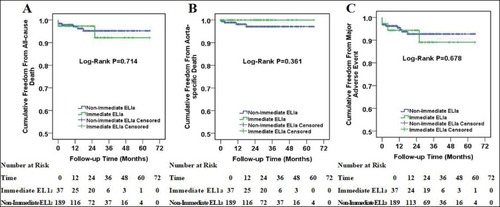 Figure 3 Kaplan–Meier curves among patients with immediate type Ia endoleak and non-immediate type Ia endoleak. Cumulative all-cause death curves (A), aorta-specific death curves (B) and major adverse event curves (C) in patients with immediate type Ia endoleak and non-immediate type Ia endoleak. The number of patients at risk at each year was listed in the bottom of the figure.