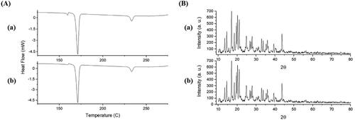 Figure 9. DSC thermograms (A) and PXRD patterns (B) of EPL-NCs at day 0 (a) and after 90 days (b) of storage stability period.