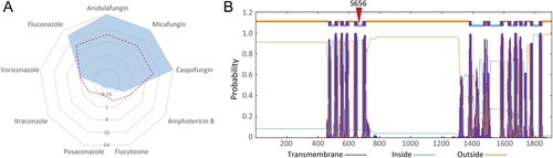 Figure 2. Strain characteristics of the pan-echinocandin resistant C. parapsilosis clinical isolate. (A) In vitro susceptibility to nine common antifungal drugs. The dashed red line indicates the breakpoints for defining drug resistance or cut-off values for non-wild type. (B) Transmembrane helix predictions for Fks1 of C. parapsilosis. The location of the amino acid 656 is labelled.