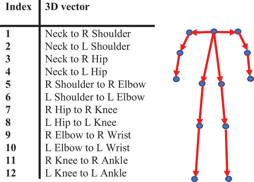 Figure 8. Illustration of vector-based feature vectors. Left: description of each feature (L and R refer to the left and right joints, respectively). Right: illustration of the features.