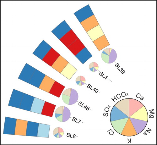 Figure 3. Example of the hydrochemistry of representative monitoring locations. SL4, SL40 and SL8 indicate bicarbonate-calcium groundwater, while SL7, SL48 and SL 39 are typical of groundwater with a chloride-sodium facies. The dimensions of the pie charts clearly indicate that chloride-sodium groundwater are related to an higher mineralisation compared to that of locations characterised by bicarbonate-calcium facies.