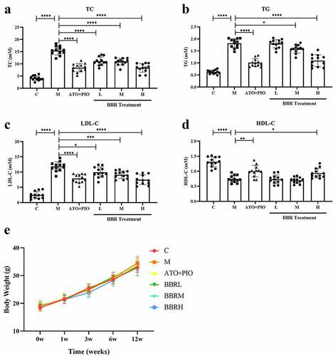 Figure 1. BBR reduced blood lipid levels in ApoE−/− mice. (a) TC level; (b) TG level; (c) LDL-C level; (d) HDL-C level; (e) Body weight; the findings were presented as mean ± SD; * P < 0.05, ** P < 0.01, *** P < 0.001, **** P < 0.0001