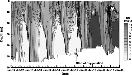 Figure 5. Dissolved oxygen concentrations near the dam at Lake Casitas, showing seasonal anoxia before HOS installation and elevated DO following HOS installation in September 2015.