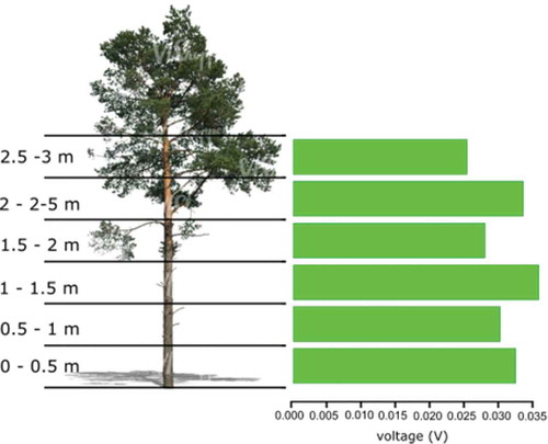 Figure 7. Bipolar voltage measurements considering the height at the tree.