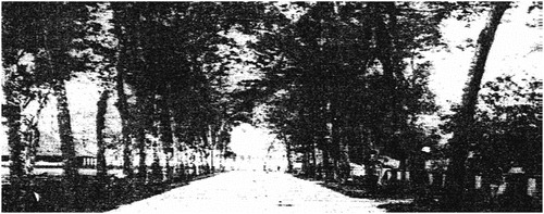Figure 8. Colonial era road infrastructure, Road behind the fort in 1839.
