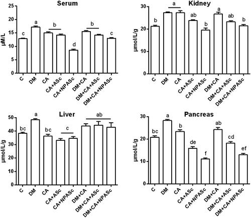 Figure 1. Effect of the treatment with ASc and NPASc on AOPP levels in serum (μM/L) and tissue (μmol/L/g of protein) of rats. Values are expressed as mean ± SEM (n = 6). Mean values with different letters differ (p < 0.05) by the Duncan test. DM: diabetic rats; CA: rats infected with C. albicans; CA + ASc: rats infected with C. albicans and treated with ASc; CA + NPASc: rats infected with C. albicans and treated with NPASc; DM + CA: diabetic rats infected with C. albicans; DM + CA + ASc: diabetic rats infected with C. albicans and treated with ASc; DM + CA + NPASc: diabetic rats infected with C. albicans and treated with NPASc.