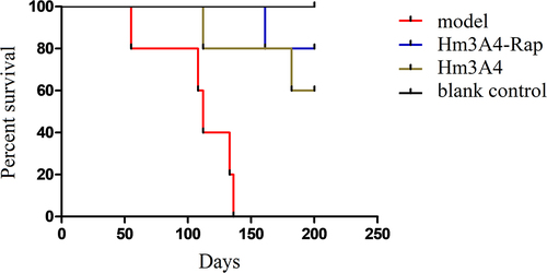 Figure 5. Survival analysis of the treated and control xenograft mouse model groups. After the 136th day, all NOD/SCID mice in the modeling group died, while one of the Hm3A4-Rap-treated mice died at 165 days, and the remaining 4 survived well (p < 0.05 compared with the modeling group); Hm3A4-treated mice had one death at 112 days, another at 182 days, and the remaining three survived well, and the difference was statistically significant compared with the model group (p < 0.05).