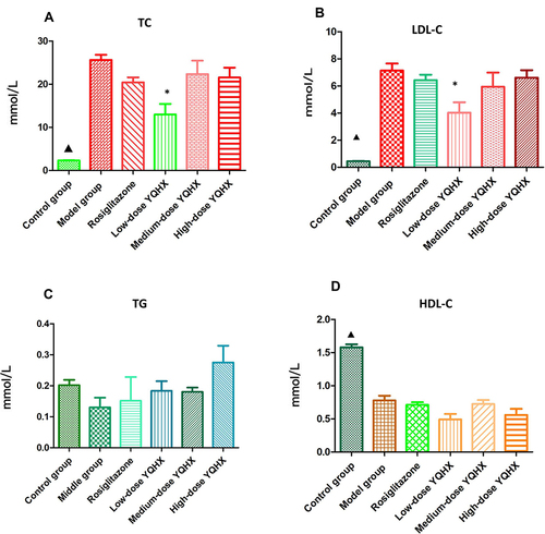 Figure 2 Effects of YQHX on levels of serum lipids. (A) TC; (B) TG; (C) LDL-C; (D) HDL-C. Error bars indicate mean ± SEM (n = 6). ▲P < 0.05 compared with the model group; *P < 0.05 compared with the model group.