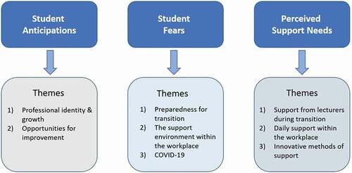 Figure 1. Themes identified during content analysis.