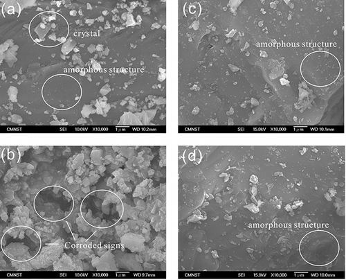 Figure 7. SEM images of slags after immersion of acid solution: (a) S-1 after extraction step I; (b) S-1 after extraction step II; (c) S-6 after extraction step I; (d) S-6 after extraction step II.