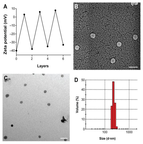 Figure 2 CS-HP nanocapsule.Note: Scale bar is 1 μm.Abbreviations: CS, chitosan; HP, heparin; LbL, layer-by-layer; SEM, scanning electron microscopy; TEM, transmission electron microscopy.