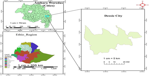 Figure 1 Maps showing the study area (Dessie City). The maps were generated by the authors using ArcGIS version 10.8 software.