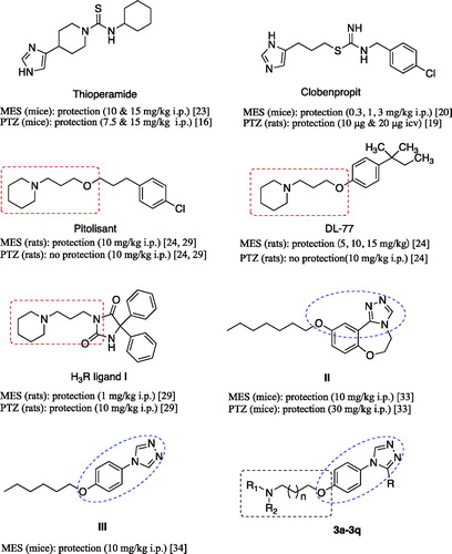 Figure 1. Structures of histamine H3 receptor ligands with anticonvulsant activity, triazole derivatives with anticonvulsant activity and target compounds 3a-3q designed.