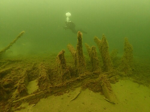 Figure 7. The stern area: the most exposed part of the wreck structure. The lower 1.5 m of the sternpost stands in its original position, tenoned into the keel. Forward of the sternpost several Y-shaped floor timbers remain in position on the keel. (Photo: Johan Rönnby).