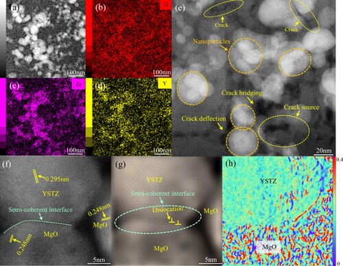 Figure 2. YSTZ nanoparticles distribution in the nanocomposite coating: (a) Dark-field image of the FIB sample, (b–d) Distribution characteristics of O, Zr, and Y elements in YSTZ/MgO nanocomposite coating, (e) Nanoparticle and crack in YSTZ/MgO nanocomposite coating, (f) Semi-coherent interface structure in YSTZ/MgO nanocomposite coating, (g) IFFT micrograph for the corresponding areas marked in (f), (h) GPA mapping calculated by Digital Micrograph for the corresponding areas marked in (g), showing an overall strain field at nanoscale. The color scale represents the change in strain intensity from 0 (Purple) to 0.4% (Red).