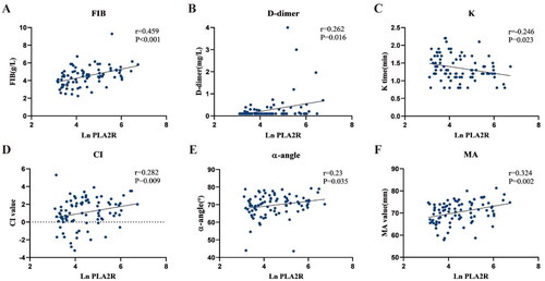 Figure 2. The scatter plots indicate the correlation between anti-PLA2R antibodies and the coagulation indices in patients with IMN who were SAb+/GAg+. anti-PLA2R antibody was highly skewed, so natural log transformation was used for the analysis.