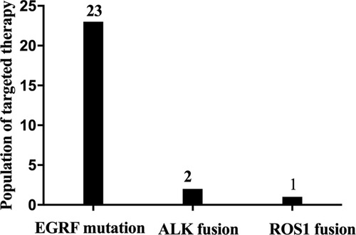 Figure 2 Patients with lung adenocarcinoma with driver mutations who received targeted therapy.