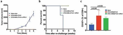 Figure 8. Mice treated with CF33-hNIS-ΔF14.5 alone or in combination develop tumor-specific immunity. Mice that underwent complete tumor regression from Figure 4, and remained tumor free for 30 days, were re-challenged with 105 E0771 cells in the abdominal mammary fat pad of opposite side. Age-matched naïve mice were used as control. (a) Tumor volumes were measured weekly and average tumor volumes have been plotted with SEM. Tumors were detected only in the naïve mice. (b) Mice were euthanized when their tumor exceeded 2500 mm3 in volume, and survival was compared using Kaplan–Meier survival plot. (c) CD3+ T cells were isolated from the mice at the end point and re-stimulated with E0771 cells. Cells were stained with antibodies against CD8 and CD107 and analyzed using flowcytometry. Per cent CD8+ T cells positive for CD107 marker have been plotted with SEM and compared among the groups. Stats: One-Way ANOVA