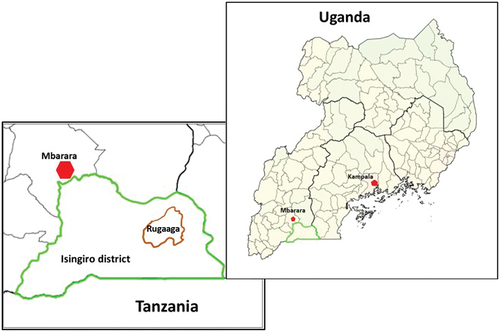 Figure 1. The location of our study area Rugaaga subcounty in Isingiro district in the Western region of Uganda.