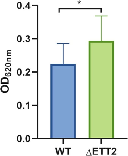 Figure 8. Biofilm detection. Error bars represent the errors in three replicates of three samples. The t-test method was used to calculate the significance of the difference in the biofilm between the two groups of samples, where P < 0.001 is marked as ***, P < 0.01 is marked as **, and P < 0.05 is marked as *.