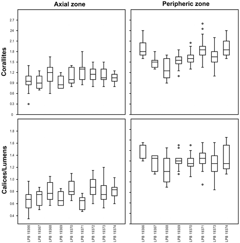 Figure 22. Box plots for the corallites (top) and calices-lumens (bottom) diameters of Thamnopora sp. measured respectively in the axial (left) and peripheric (right) zones (measurements in mm).