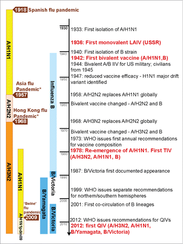 Figure 1. The evaluation of influenza viruses and vaccine development. Information from Hannoun et al.Citation8 and McCullers et al.Citation97 *Asian influenza pandemic caused by the shifted A/H2N2 strain and Hong Kong influenza pandemic caused by the shifted A/H3N2 strain: both examples of A-strain shift through reassortment (sharing) of genetic material. LAIV = live-attenuated trivalent influenza vaccine; TIV = trivalent influenza vaccine; QIV = quadrivalent influenza vaccine; WHO = World Health Organization.