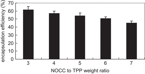 Figure 4.  Influence of NOCC-to-TPP weight ratio on insulin encapsulation efficiency for insulin-loaded NOCC nanoparticles (NOCC: 2 mg/ml and insulin: 1 mg/ml) (mean ± SD, n = 3).