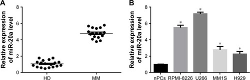 Figure 1 miR-20a is upregulated in MM patient bone marrow and MM cell lines.