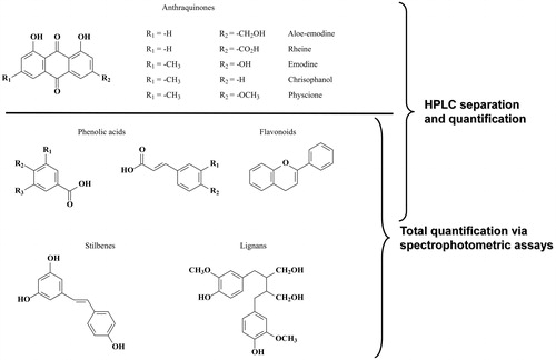Figure 1. Biologically active compounds considered in this work.